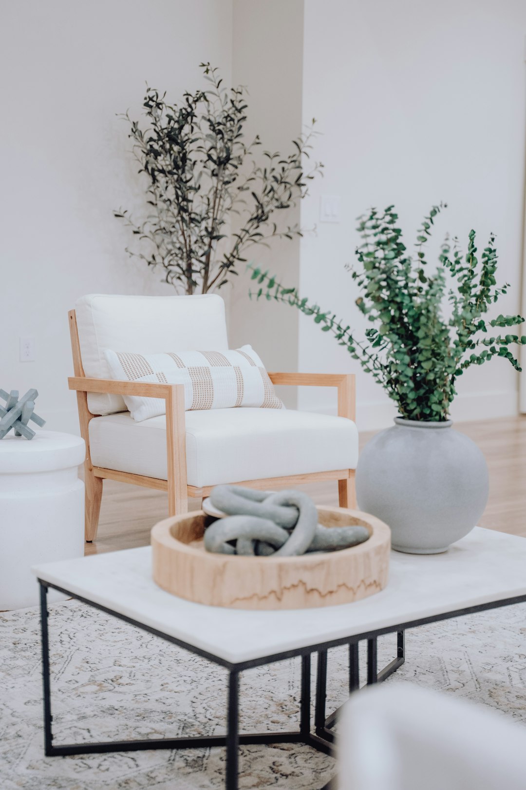 a-living-room-filled-with-furniture-and-a-plant-vkqzgxjesju